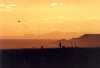 Saguaro Sunset