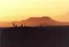 Saguaro Sunset