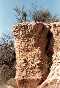Saguaro National Park